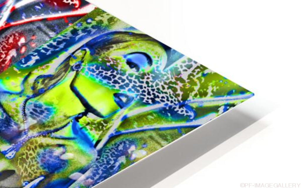 HD Sublimation Metal Print