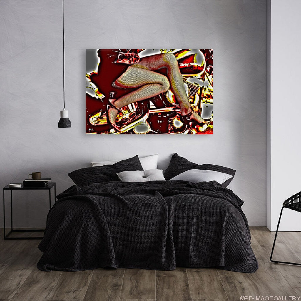 Giclée Stretched Canvas Print