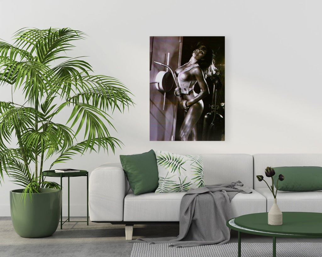 Giclée Stretched Canvas Print