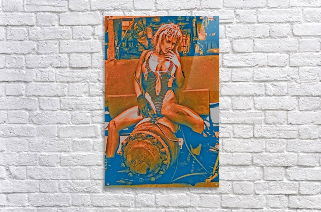 Acrylic Print