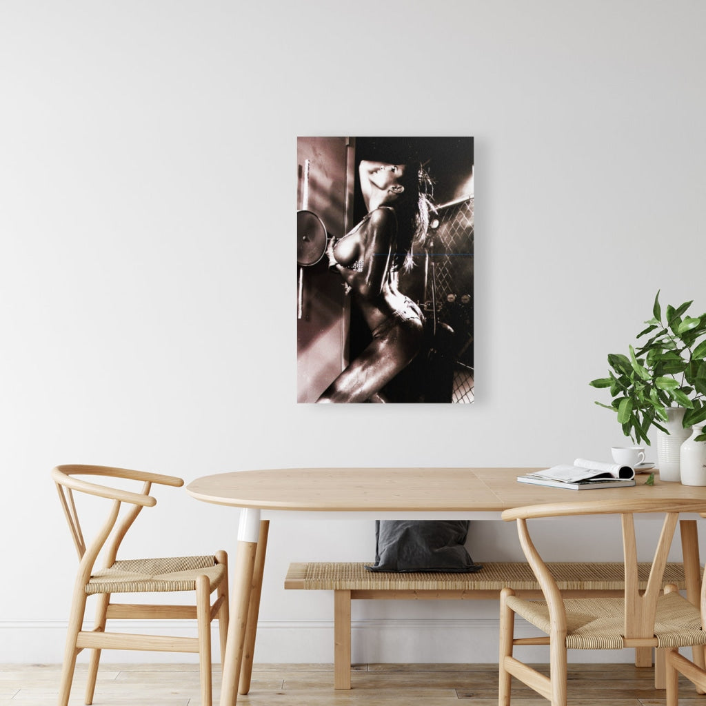 Giclée Stretched Canvas Print